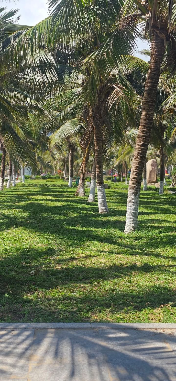 Đất vườn Ea Kao, Buôn Ma Thuột 3240m² - Giá đầu tư tốt!