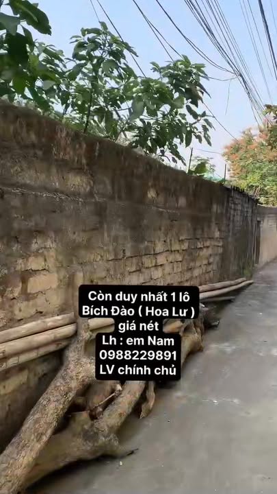 Đất nền 78.4m² Phường Hoa Lư - Sổ hồng chính chủ, giá đầu tư