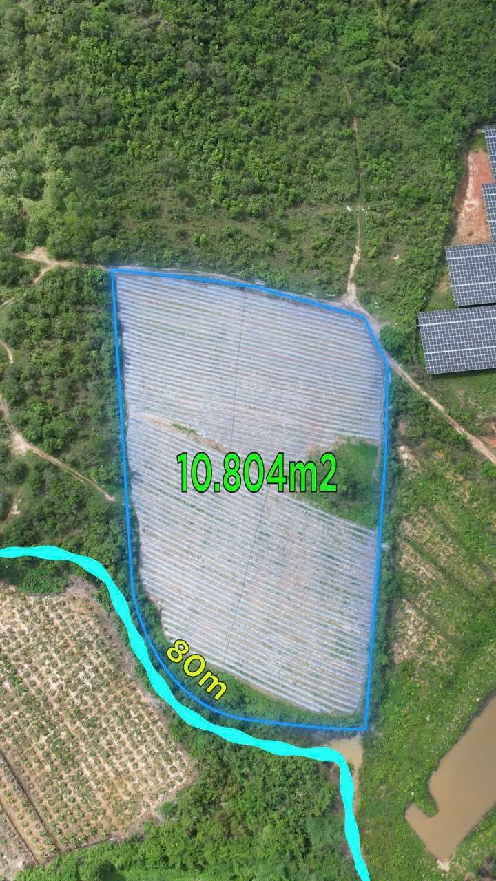 Đất nền Dray Sáp 11.000m² - Sổ đỏ chính chủ!