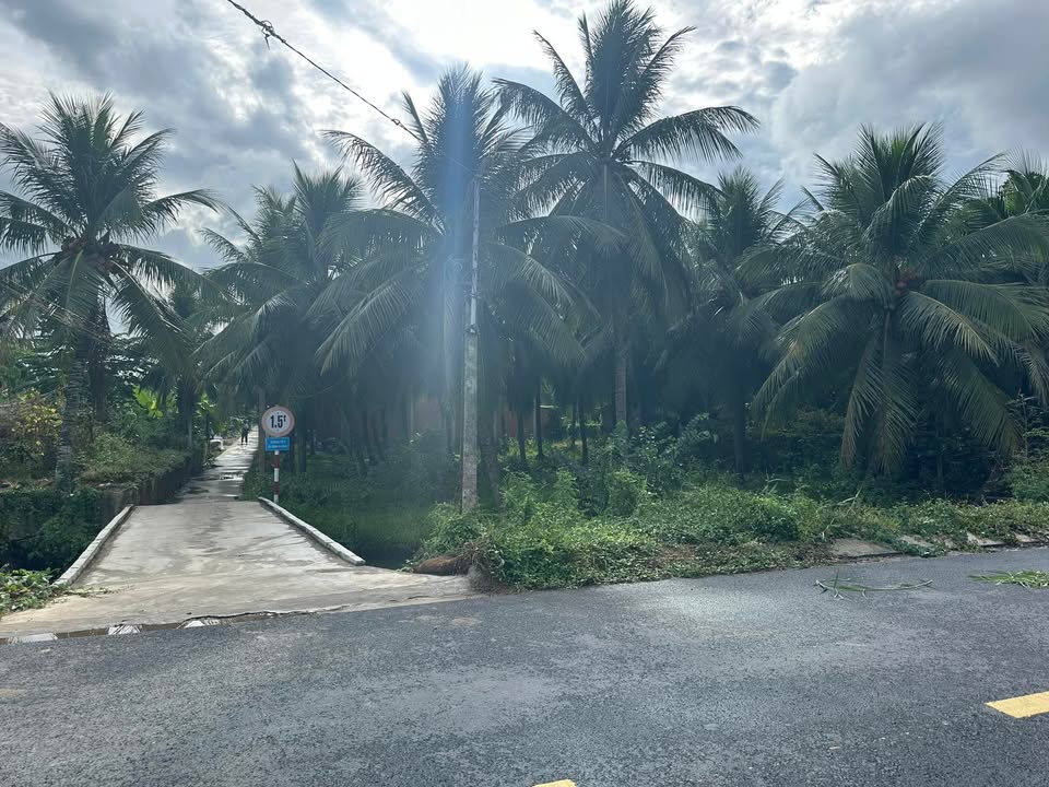 Đất Lô Góc 2 Mặt Tiền 150m² Tân Mỹ Chánh, Mỹ Tho - Giá 1.29 Tỷ