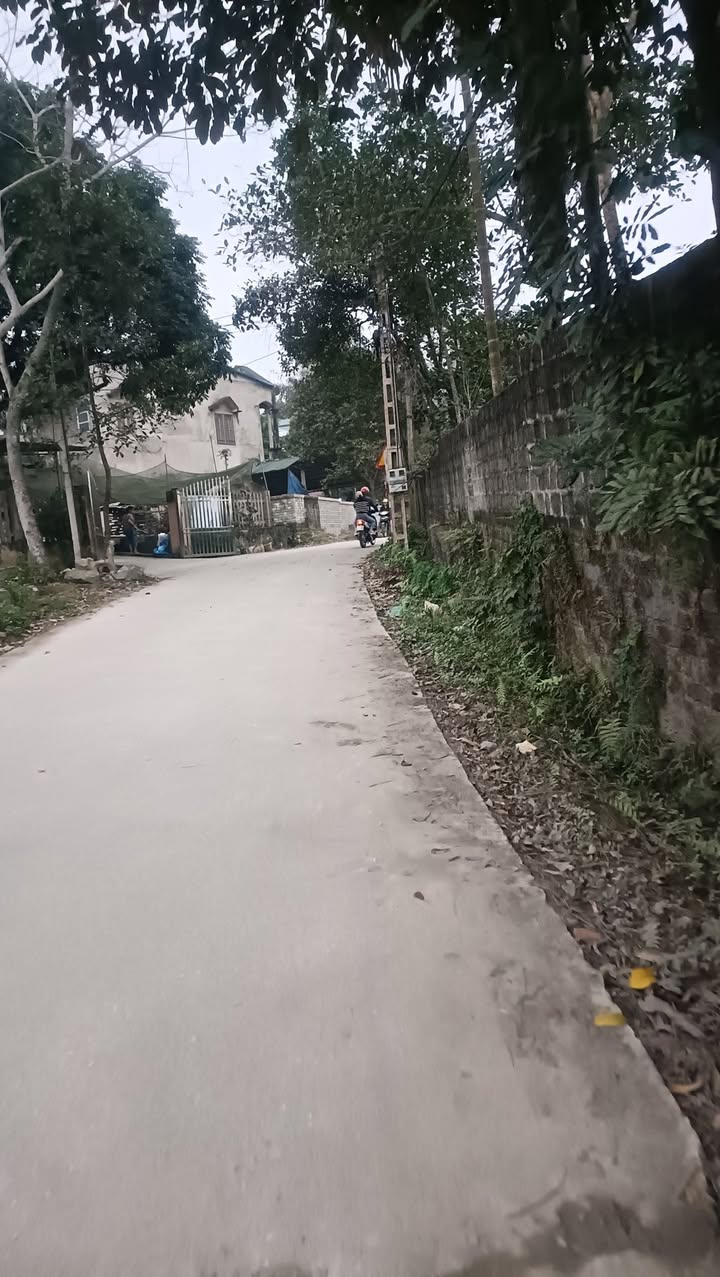 Đất Nền Yên Sơn, Tuyên Quang - Gần Đại học Tân Trào, 378m² Thổ cư, Sẵn Sàng Đầu Tư