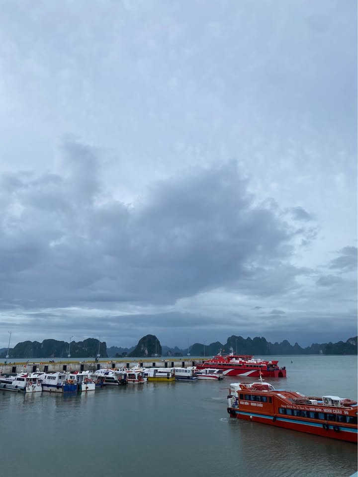 Bán Gấp 2 Lô Đất Vàng Xã Hoàng Khai, Yên Sơn - Cạnh Trường Nghề Tuyên Quang