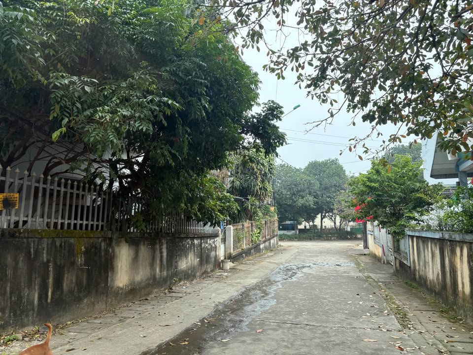 Đất nền Phường An Tường TP Tuyên Quang 98m² - Sổ đỏ chính chủ!