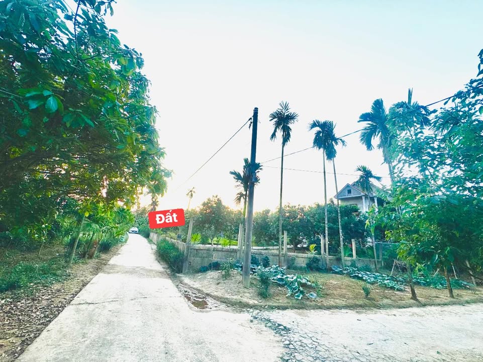 Đất nền Đường Hàng Thơm, TP Huế 162m² - Sổ hồng chính chủ