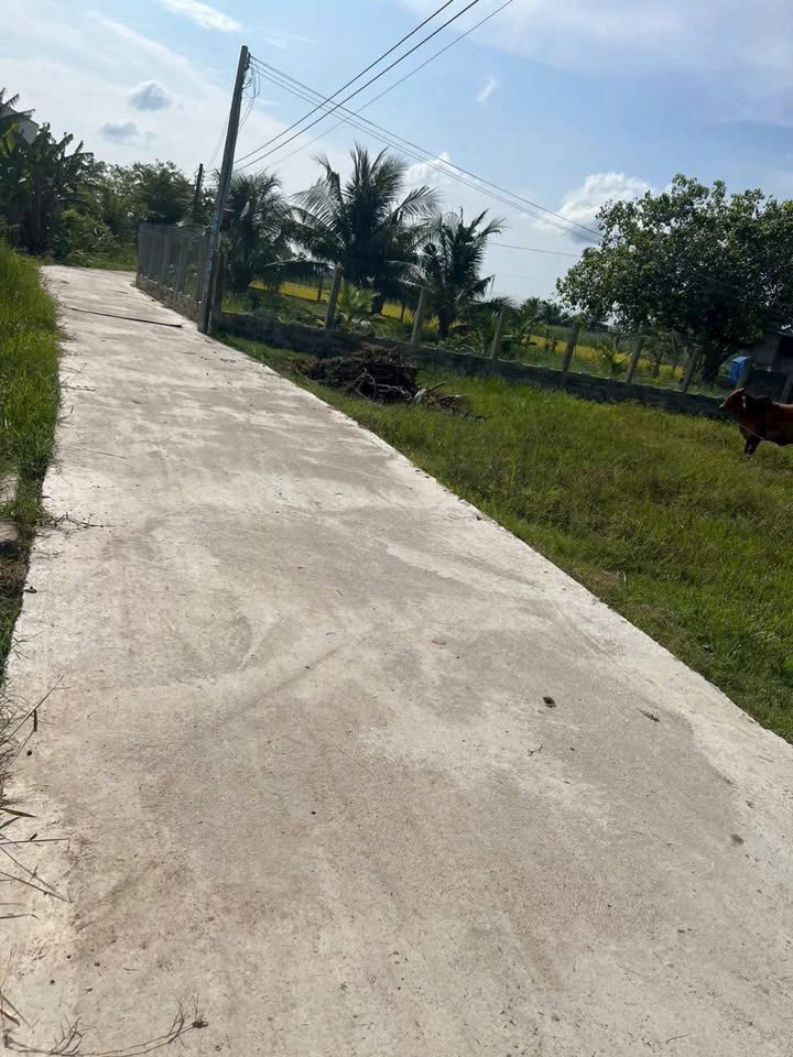 Đất vườn Hàm Chính 360m² - Cơ hội đầu tư dài hạn!