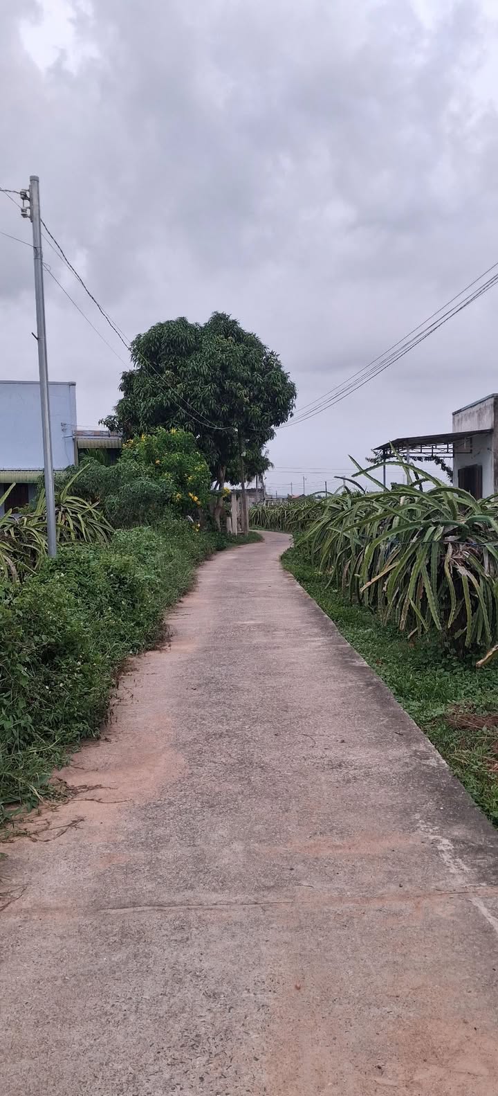 Đất nền Hàm Liêm 150m² hơn 500 triệu - Sổ đỏ chính chủ!