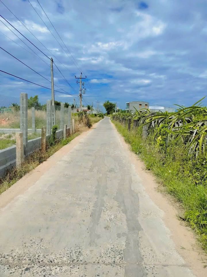 Đất Cây Trồng 1000m² Hàm Thắng, Hàm Thuận Bắc - Sổ đỏ chính chủ, giá tốt!