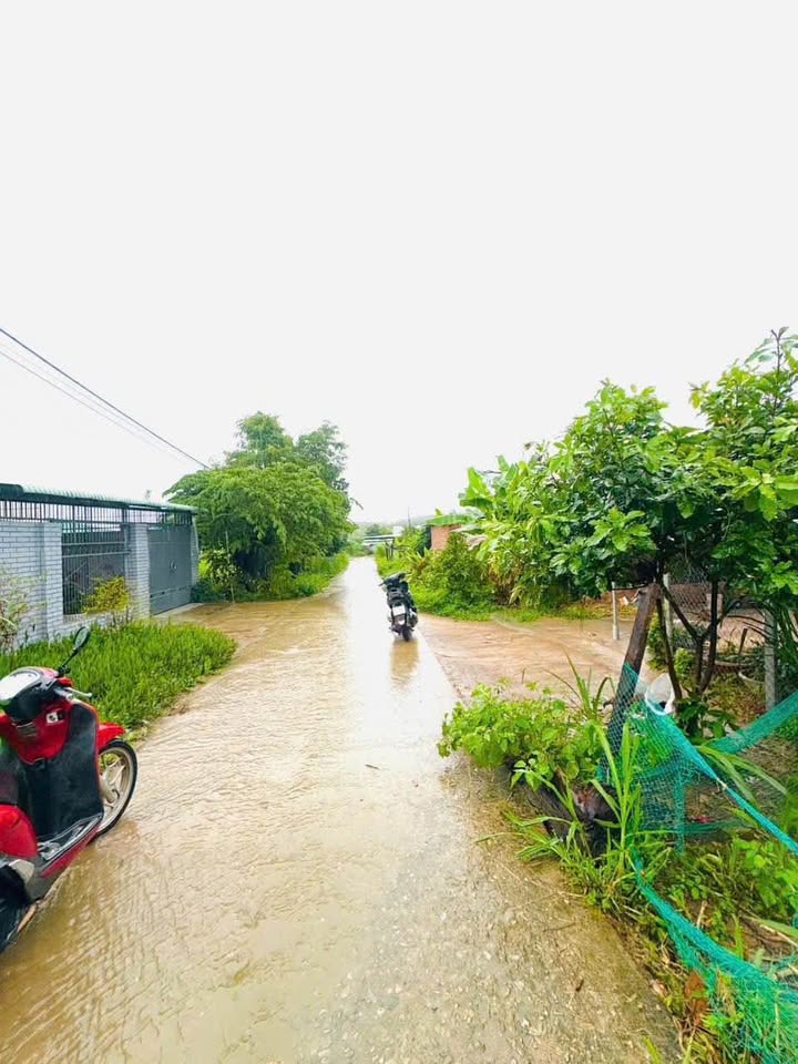 Đất Nền Konrobang, Kon Tum - 168m² Thổ Cư, Hướng Nam, Giá 5xx Triệu