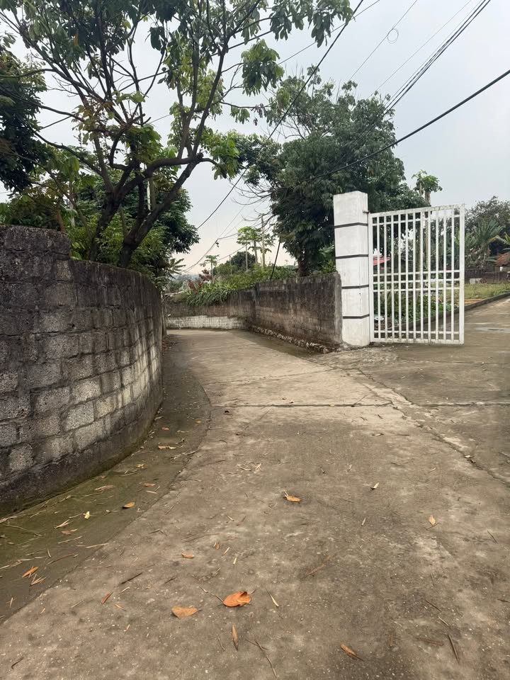 Đất nền Xã Huống Thượng 90m² - Tiềm năng tăng giá vượt trội!