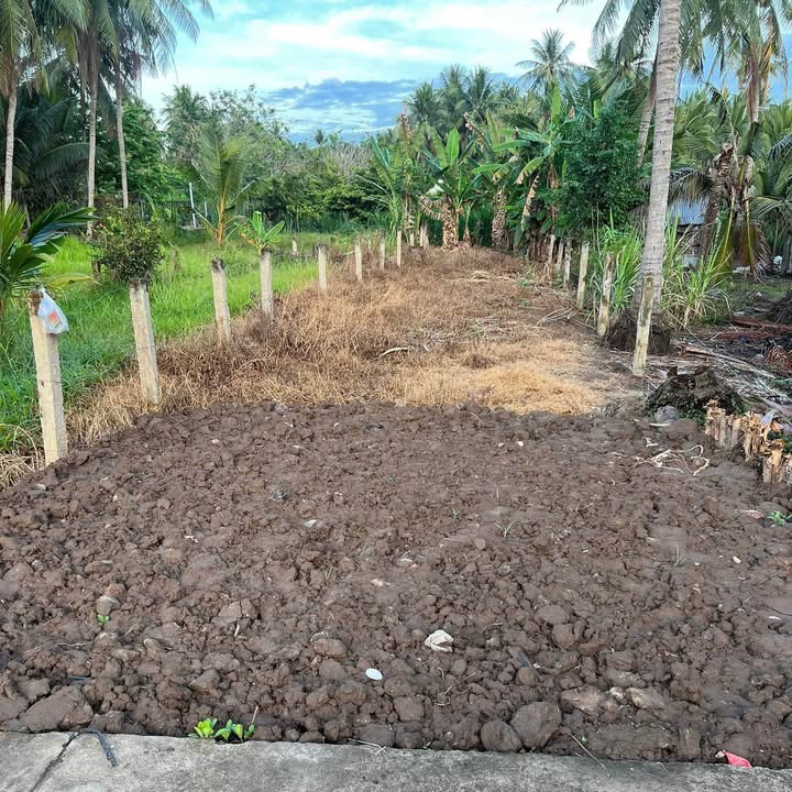 Đất nền Chợ Gạo Tiền Giang 183m² giá 380 triệu - Sổ hồng sẵn