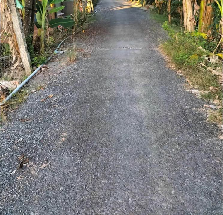 Bán Nền Mặt Tiền Võ Việt Tân Nối Dài, Mỹ Hạnh Trung, Tiền Giang - 241m² Sổ Riêng