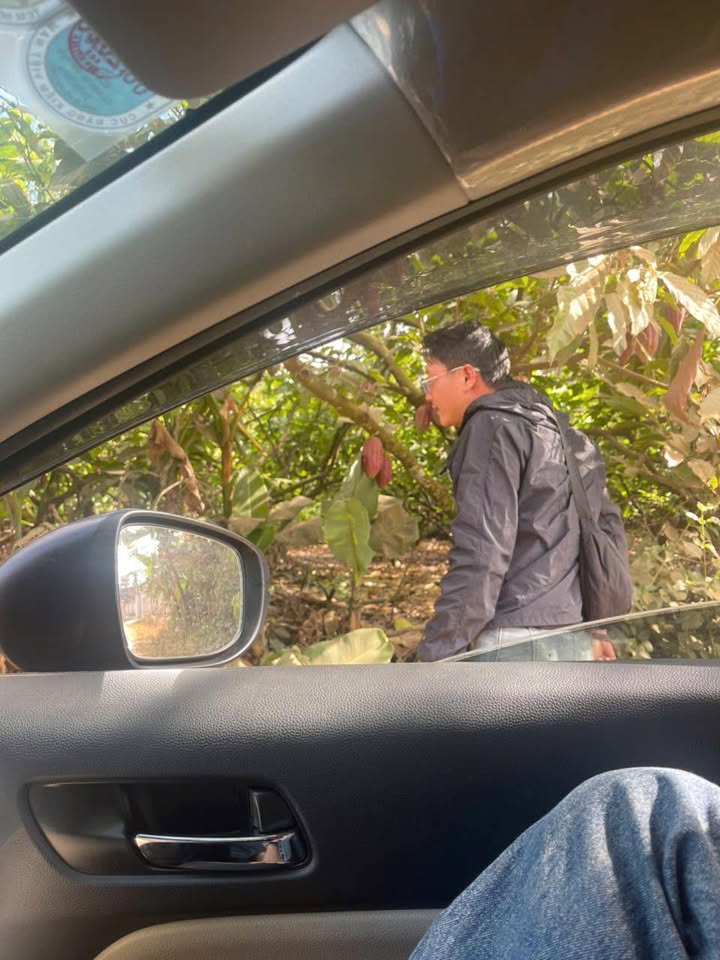 Đất nền Tân Hòa Krông Pắc 150m² Sổ đỏ chính chủ!