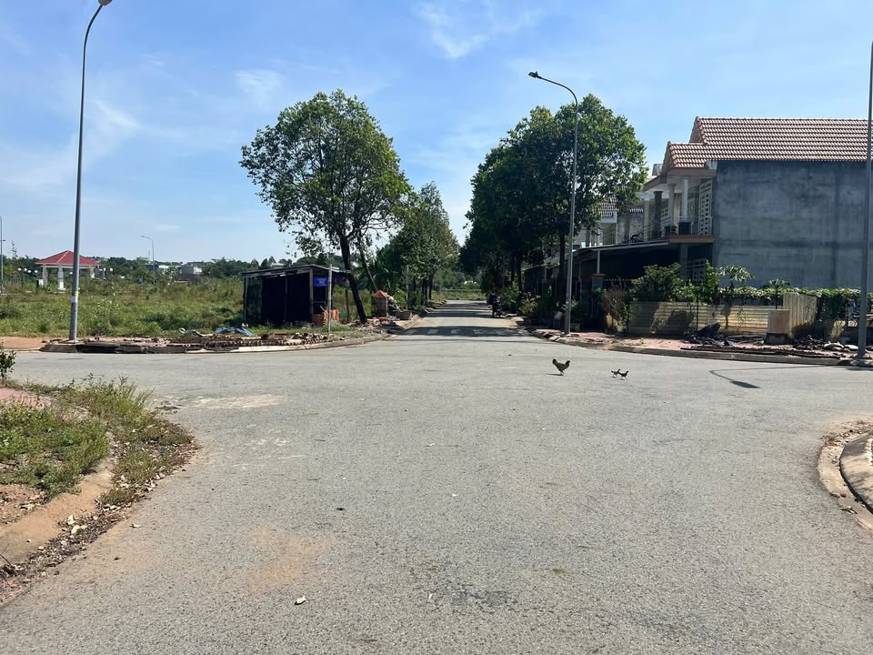 Bán Đất Tái Định Cư Thanh Lễ 100m² Đường D3A, Thủ Dầu Một - Vị Trí Đẹp