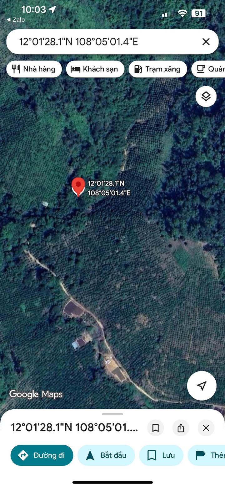 Đất vườn Đam Rông 2ha giá 200 triệu - Sinh thái xanh, suối quanh vườn