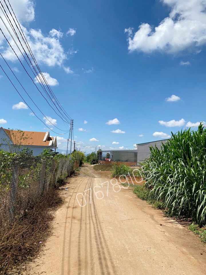 Đất Nền Lạc Dương 125m² - Sổ Hồng Sẵn Sàng, Giá 1.15 Tỷ