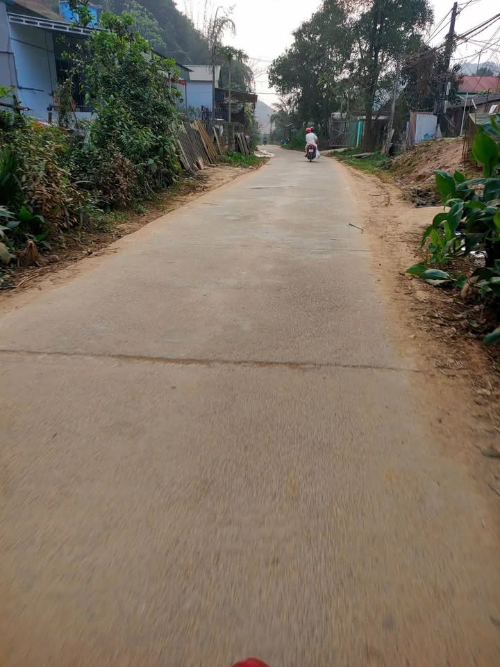 Bán Đất Vườn Yên Bái 5000m² - Sẵn Sàng Kinh Doanh Farmstay