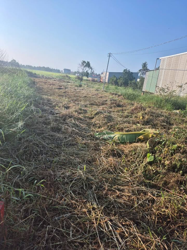 Bán Đất Vườn 288m² Gần KCN Thạnh Lộc, An Giang - Sổ Hồng, Lộ Ô Tô