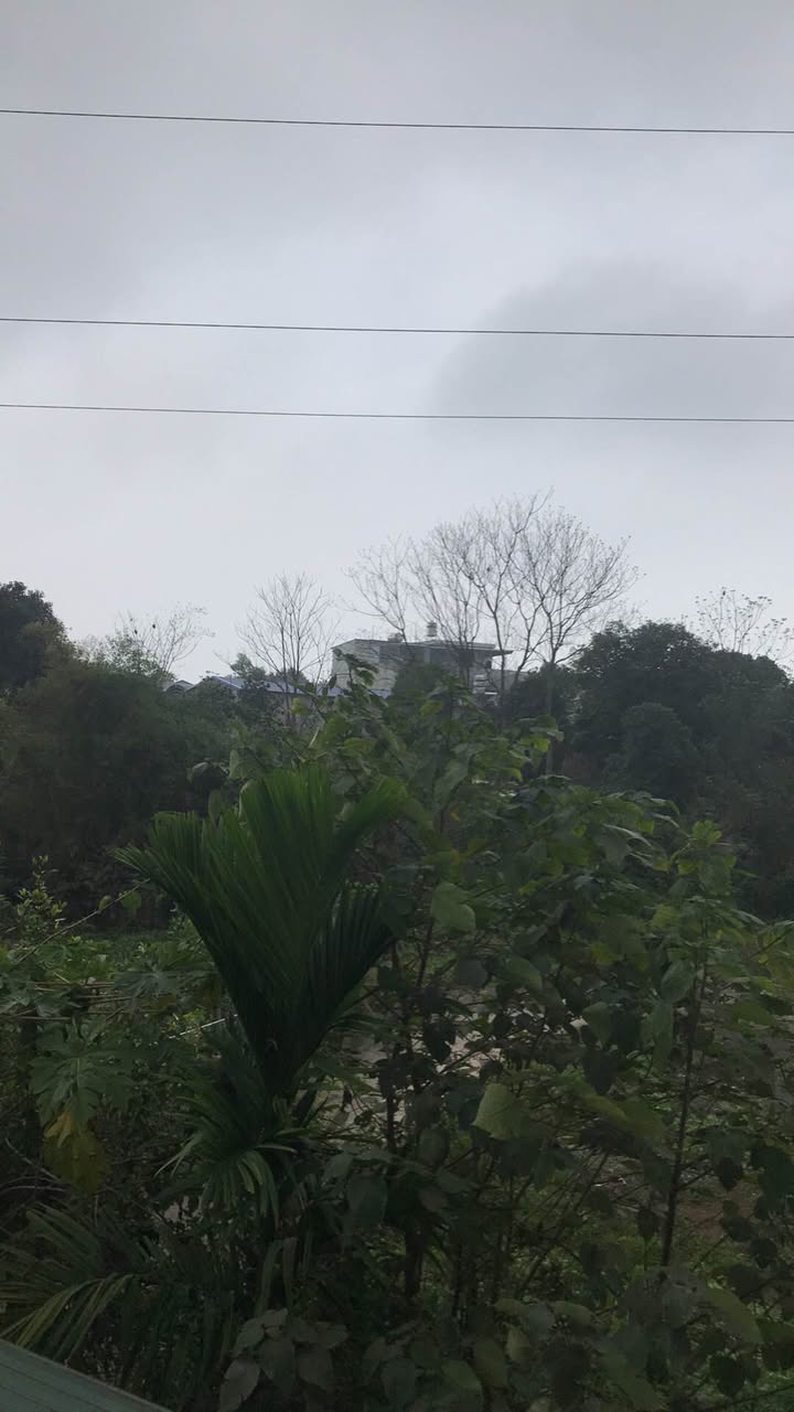 Đất nền 170m² Phường Thịnh Đán - Tiềm năng sinh lời cực đỉnh!