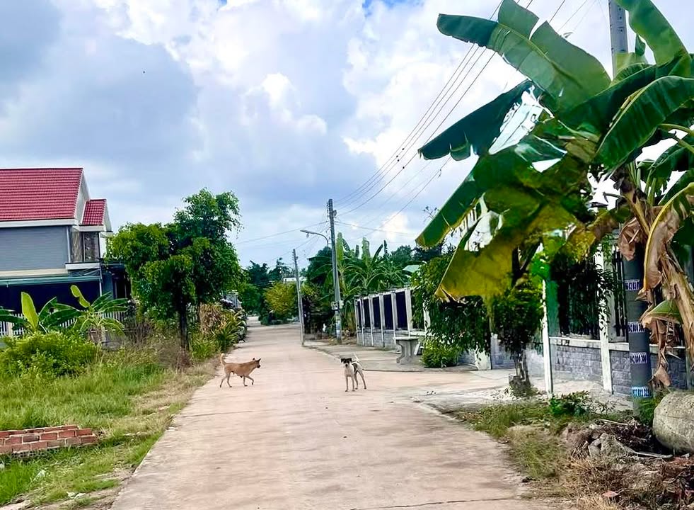 Đất nền Long Thọ Nhơn Trạch 100m² giá 400 triệu - Sổ hồng sẵn!