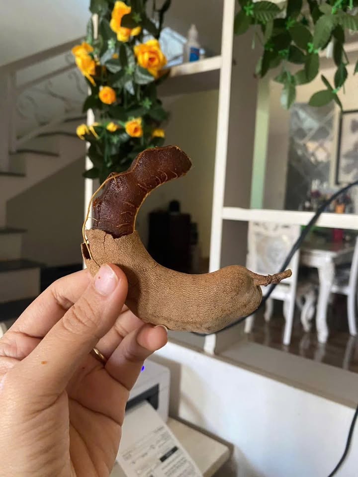 Nhà Mặt Tiền Nguyễn Khuyến BMT 650m² - Mặt tiền kinh doanh hiếm có!