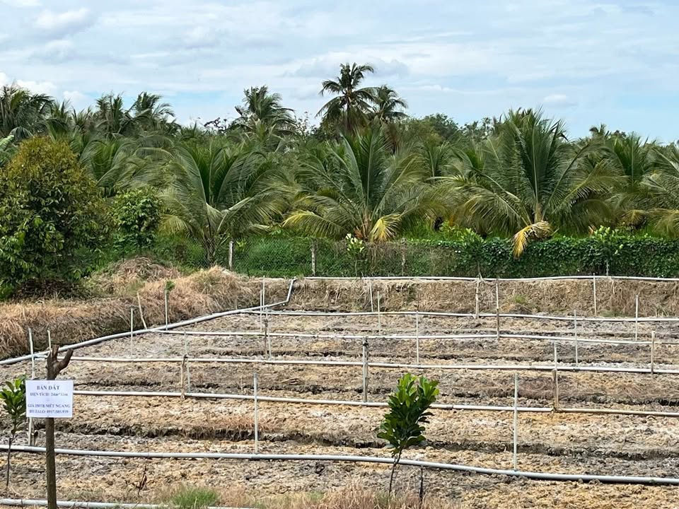 Đất nền 792m² Tỉnh lộ 874 Cai Lậy - Sổ đỏ chính chủ, bán gấp!