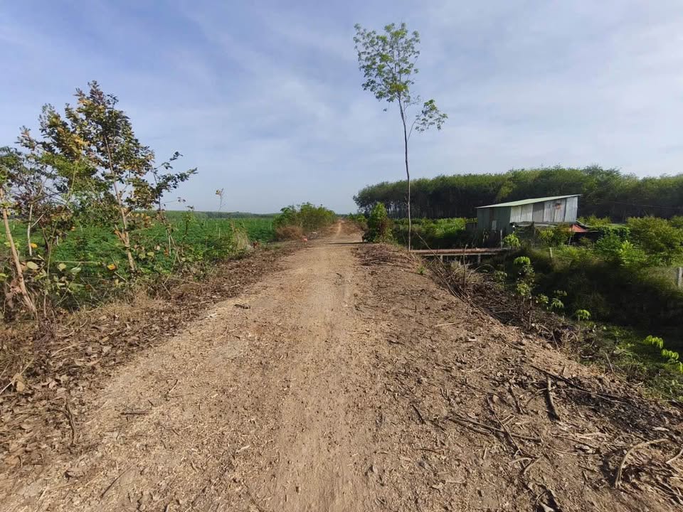 Bán 7 Mẫu Đất Tân Châu Tây Ninh 70.000m² - Đầu Tư Trang Trại Sinh Lời