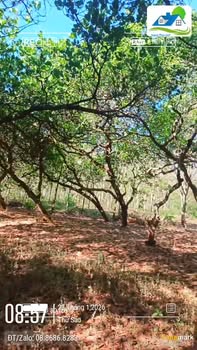 Đất Vườn Lộc Ninh 9000m² - Sổ Hồng Rõ Ràng, Giá Đầu Tư Tốt!