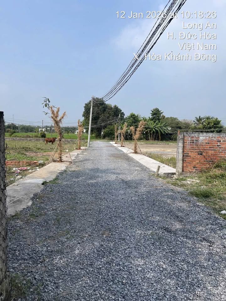 Đất nền Đức Hòa 125m² - Sổ đỏ chính chủ, giá chỉ 650 triệu!