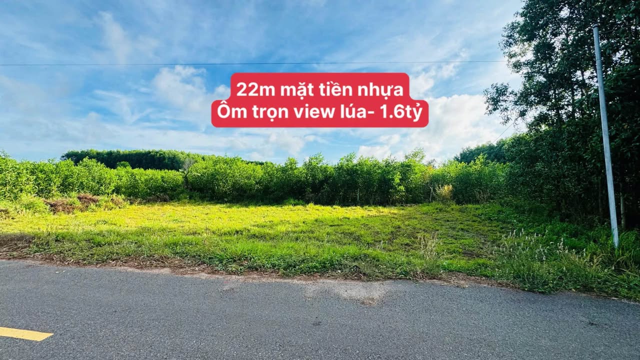 Đất nền Xã Đất Đỏ 348m² 1.6 tỷ - Sổ đỏ chính chủ, view lúa tuyệt đẹp!