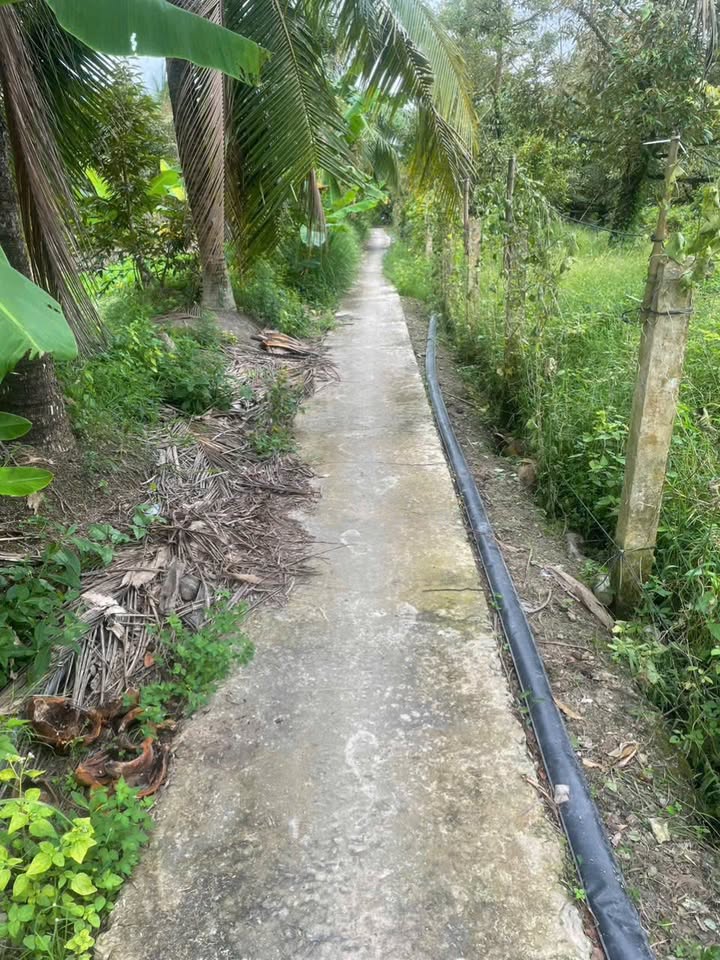 Đất Vườn Phú Quý, Cai Lậy 6600m² - Sinh thái xanh, sổ đỏ sẵn