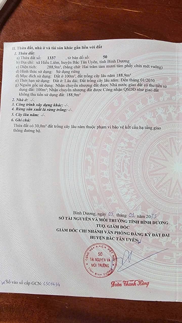 Đất nền Tân Định, Bắc Tân Uyên 288m² 1.05 tỷ - Tiềm năng tăng giá!