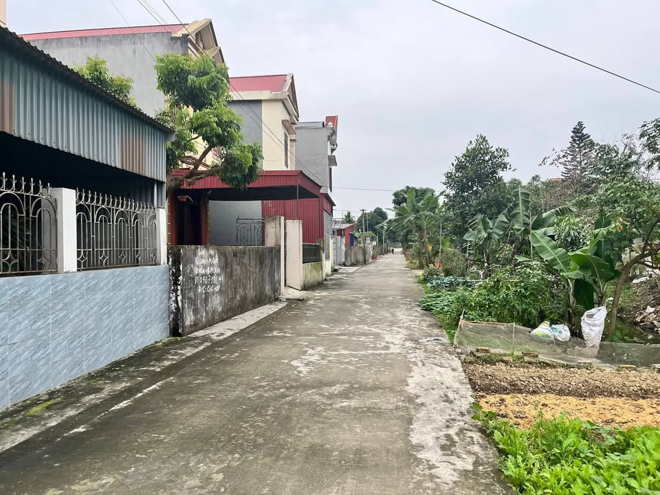 Đất nền Hồng Phong Nam Sách 120m² giá 1.6 tỷ - Sổ đỏ chính chủ