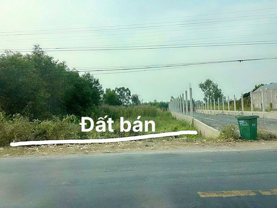 Bán Đất Mặt Tiền QL N2 Bến Lức 1169m² - Kinh Doanh, Kho Xưởng