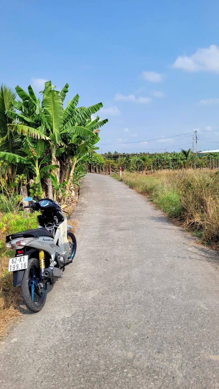 Đất nền Hiệp Thạnh Châu Thành 1.200m² 684tr - Sổ đỏ chính chủ