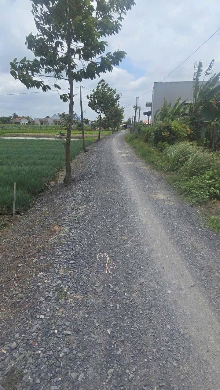 Bán nhà phố Phước Vân Cần Đước 120m² 1.7 tỷ - Sẵn sàng ở ngay!