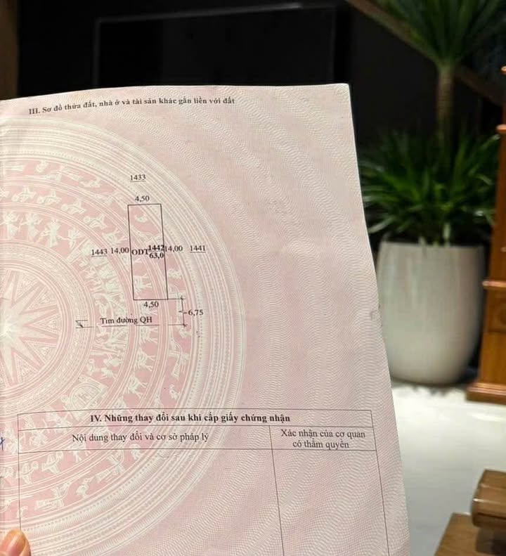 Nhà Phố Đông Hải, Thanh Hóa 63m² giá 2.9 tỷ - Vị trí đắc địa!