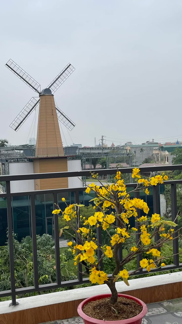 Nhà riêng Nhị Châu Nam Sách 48m² 2 tỷ - Chính chủ bán