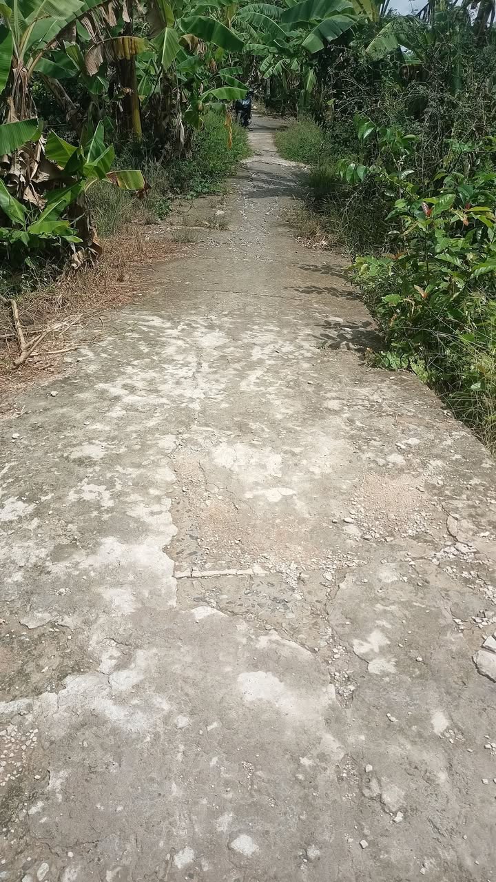 Đất nền 105m² Phường Ngã Bảy, TP Ngã Bảy - Tiềm năng tăng giá vượt trội!