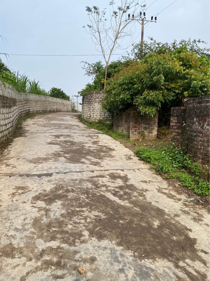 Bán đất 3000m² Kiên Lao, Bắc Giang - Có suối, gần chợ, giá 1 tỷ