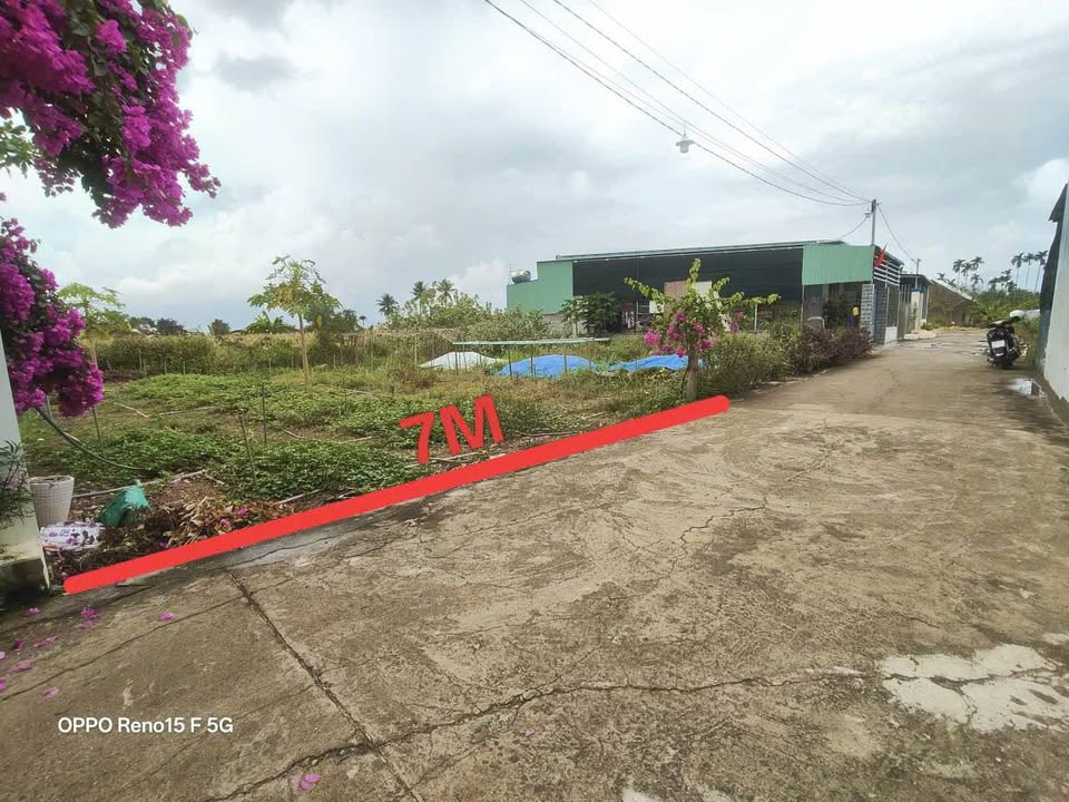 Đất nền Đông Dinh Diên Toàn 140m² - Sổ đỏ chính chủ, đường ô tô!