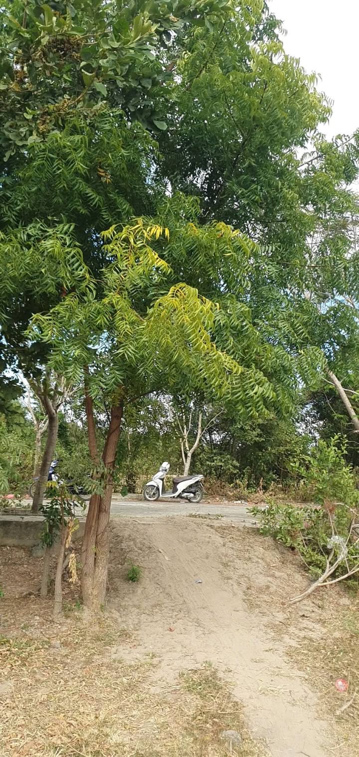 Đất nền Xã Phước Đại 600m² - Sổ đỏ chính chủ, 1.48 tỷ