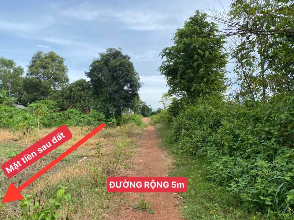 Đất nền Ea Pô, Đạ Huoai 250m² - Sổ đỏ chính chủ, giá 299 triệu!