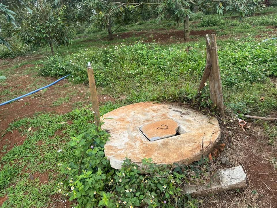 Rẫy Hòa Đông Krông Pắc 1440m² - Tiềm năng tăng giá vượt trội!