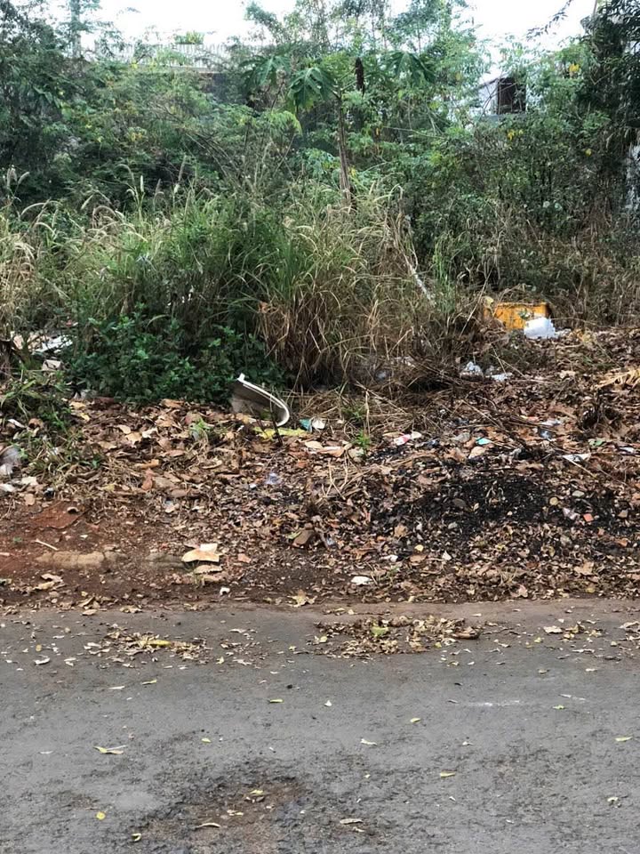 Đất nền 137m² Hẻm Phạm Văn Bạch BMT - Thổ cư 100%!