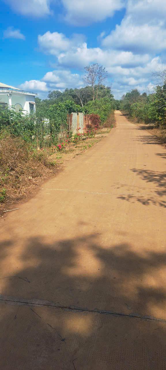 Đất nền Buôn Đôn, Đắk Lắk - 1100m² Mặt tiền 20m, Giá 450 triệu