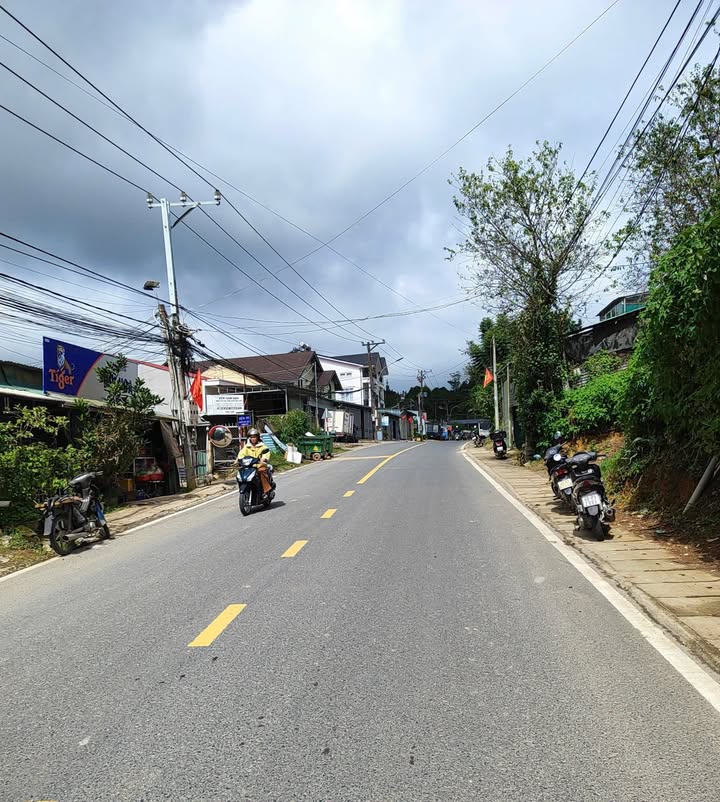 Bán Đất Vườn Đà Lạt 370m² Mặt Tiền Nguyễn Đình Quân - Giá 13 Tỷ