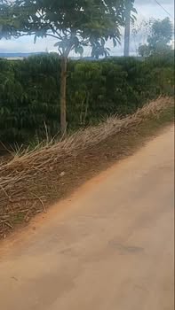 Đất Vườn 15.120m² Lâm Hà, Lâm Đồng - Giá Đầu Tư 4.2 Tỷ