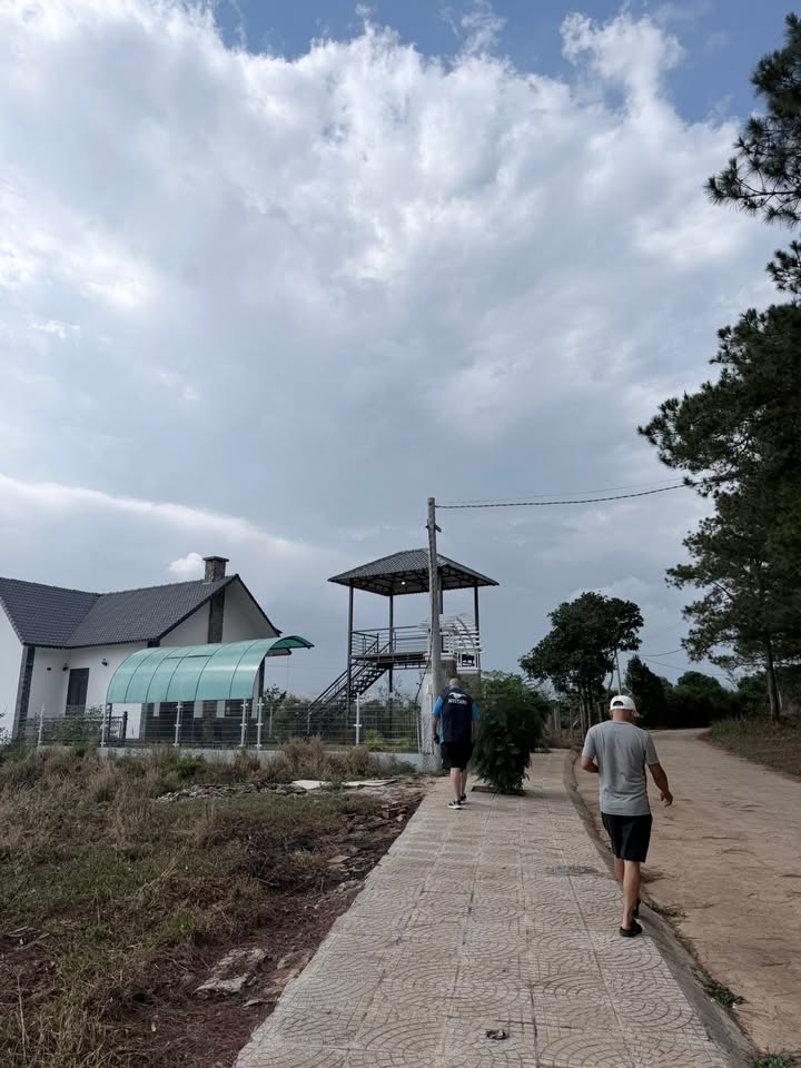 Bán Đất Kèm Nhà Mới Xây Xã Nam Ban 1158m² - View Rừng Thông