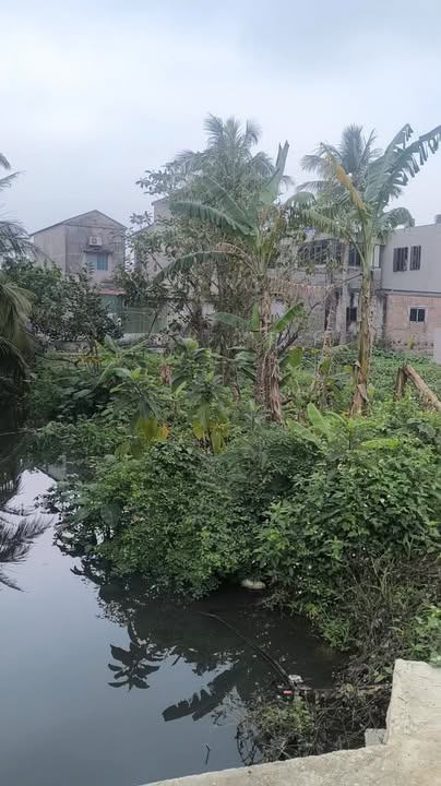 Đất nền Hùng Tiến Vĩnh Bảo 135m² giá cực tốt - Sổ hồng chính chủ!