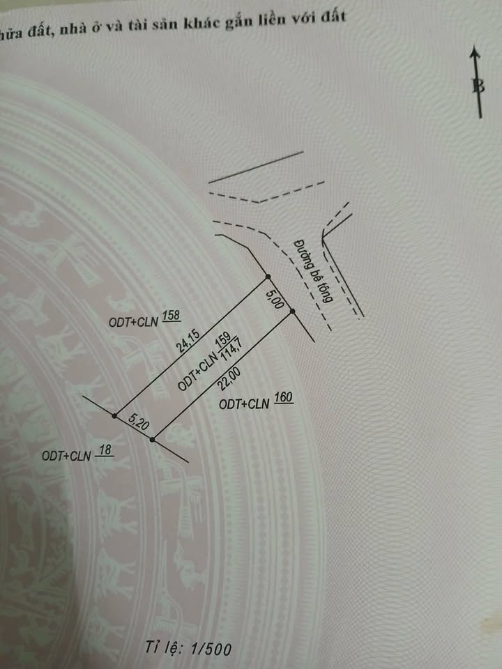 Đất Nền Đồng Hới 115m² Giá 1.2 Tỷ - Tiềm Năng Tăng Giá Vượt Trội!